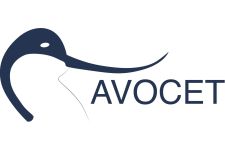 Photo of Avocet Wind Photo of Avocet Wind