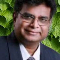 Velumani Vadiappan