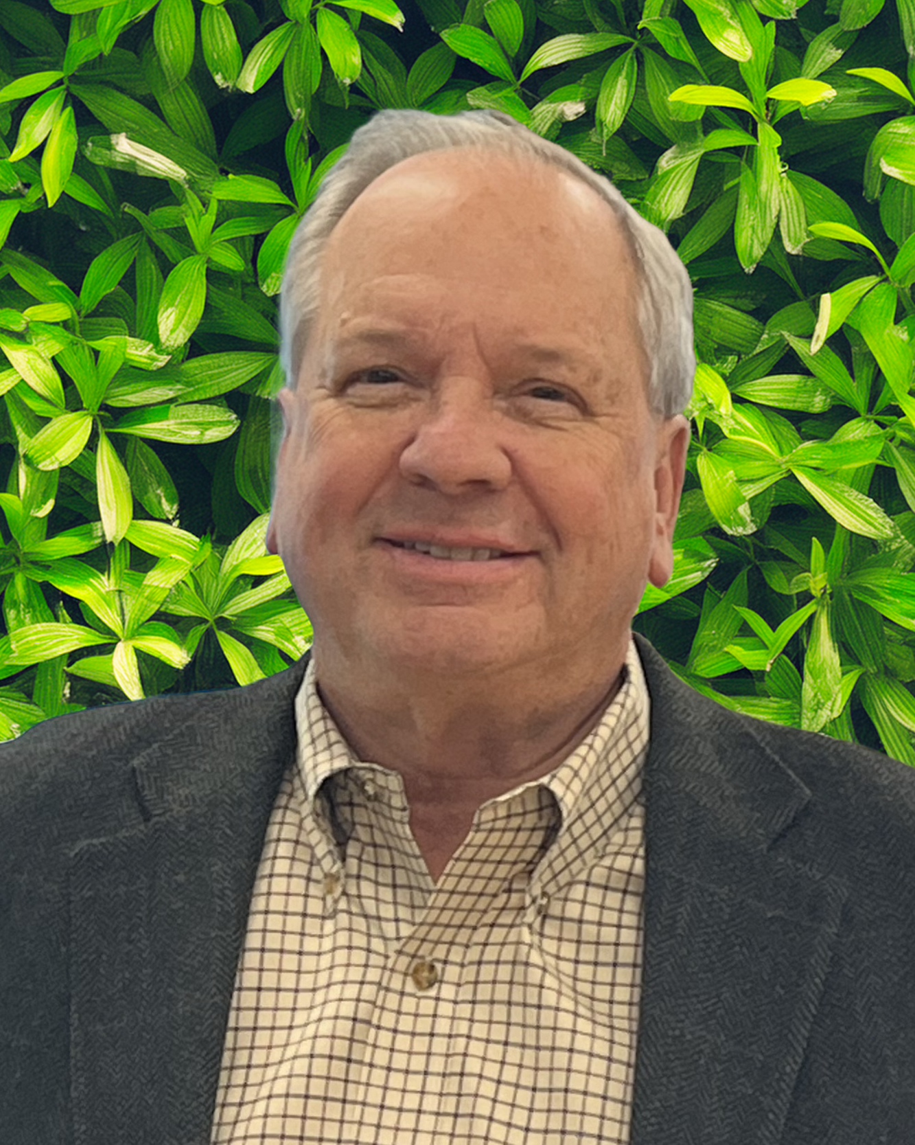 paulrowan Paul Rowan